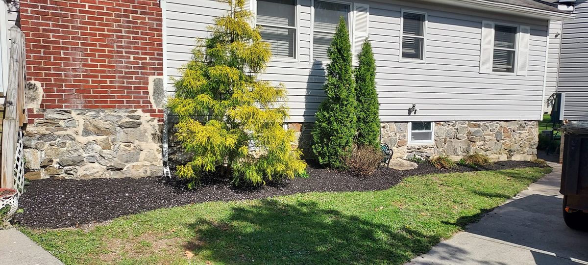 Tree and Shrub Care for Marino's Landscaping in Mannington Township, NJ
