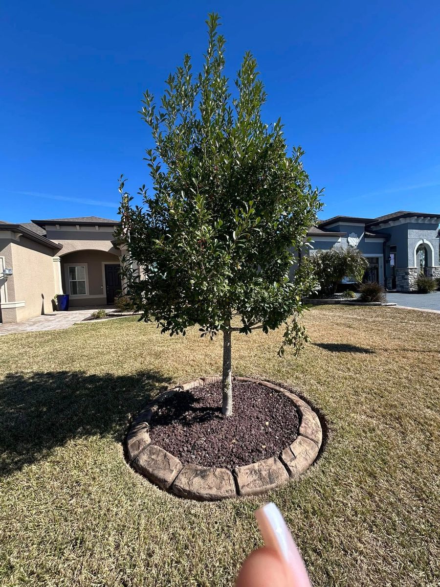 Shrub Trimming for J and E LAWN Landscaping in Gainesville, Florida