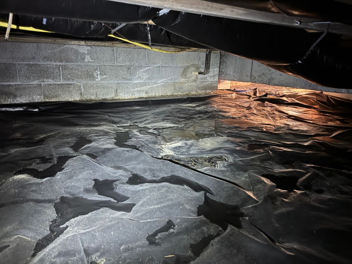 Crawl Space/Attic Renovation for All-In Pest Control & Home Solutions in Greene County, IN