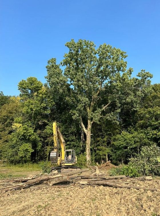 Land Clearing for Shafer Excavating in 46792, IN