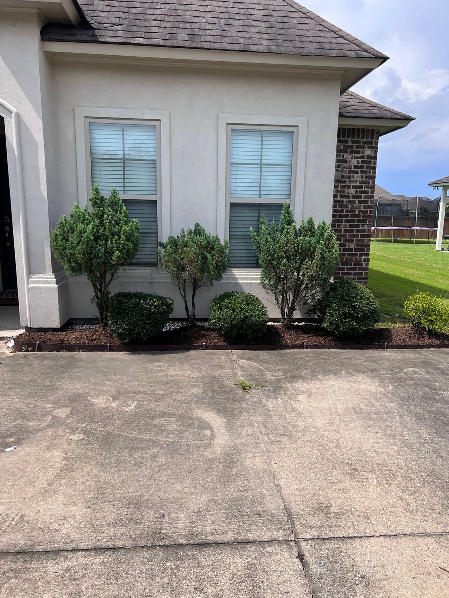 Shrub Trimming for Lawn Rangers in Baton Rouge,  LA