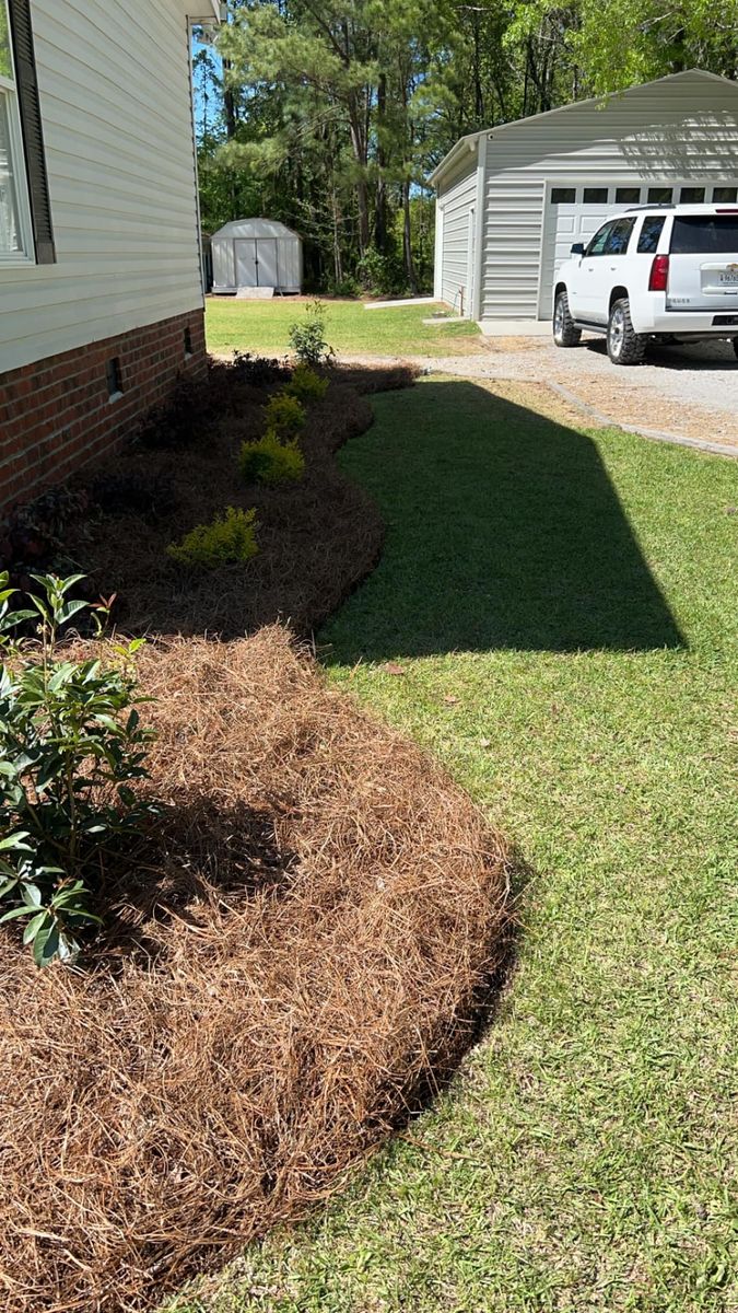 Pinestraw Installation for Linhale Landscaping & Lawn Care in Florence, SC