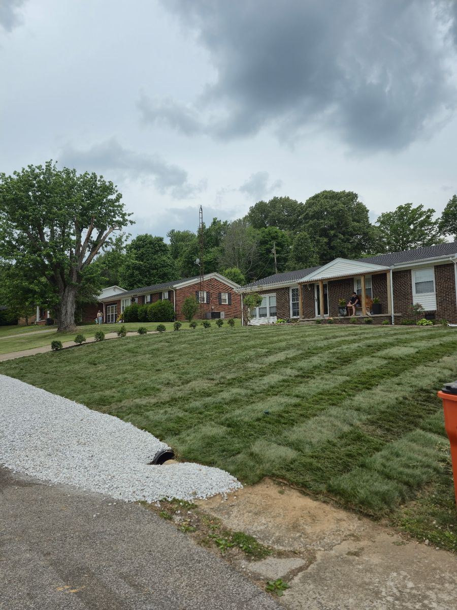 Landscaping for Optimum Tree Service And Landscaping in Bowling Green, KY