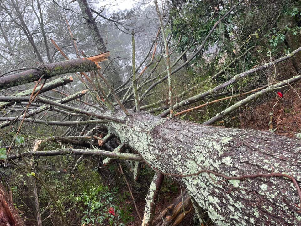 Emergency Tree Services for Chipper's Tree Service  in Fort Payne, AL