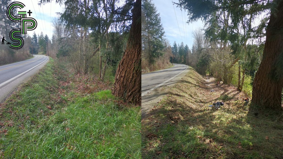 Brush Clearing - Bramble Clearing - Blackberry Clearing for Golovin Property Services LLC in Marysville, WA