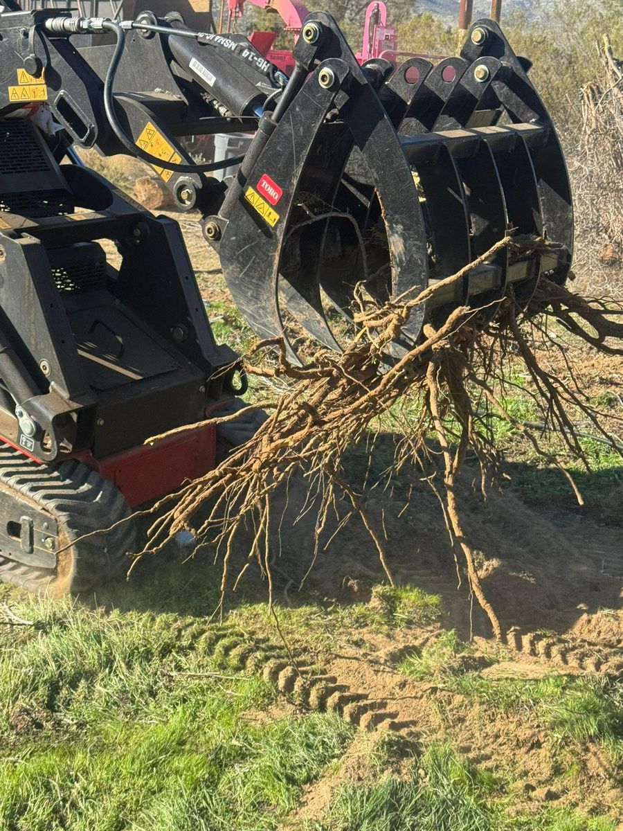 Tree Services for The Tree Fairy in Julian, CA