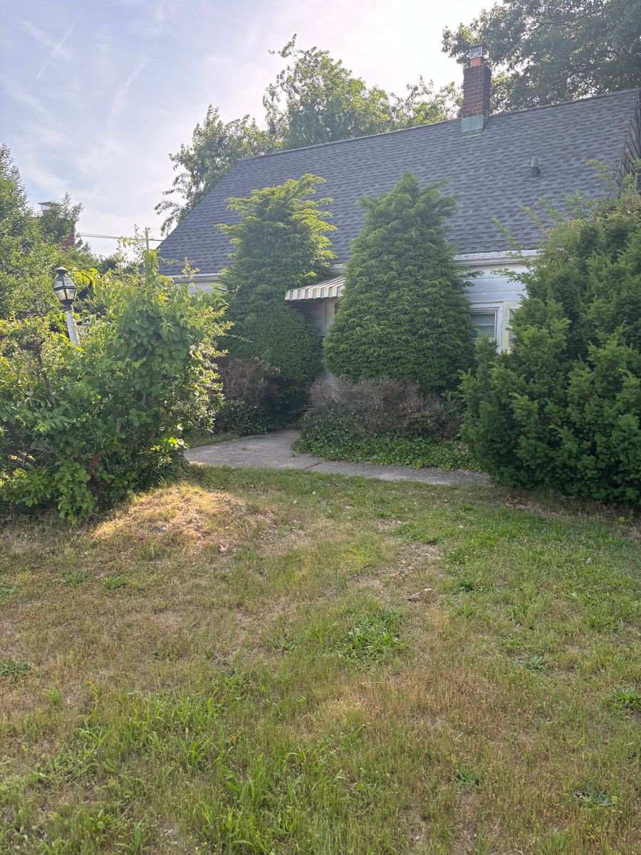 Overgrown Property Clean Up for Strong Island Property Services in West Hempstead, NY