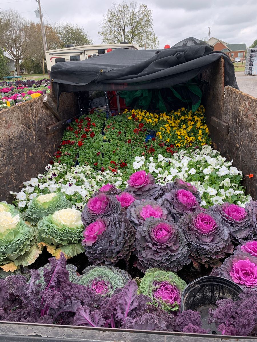 Seasonal Color- Spring and Fall for Russell's Lawn Care Plus in Nashville, TN