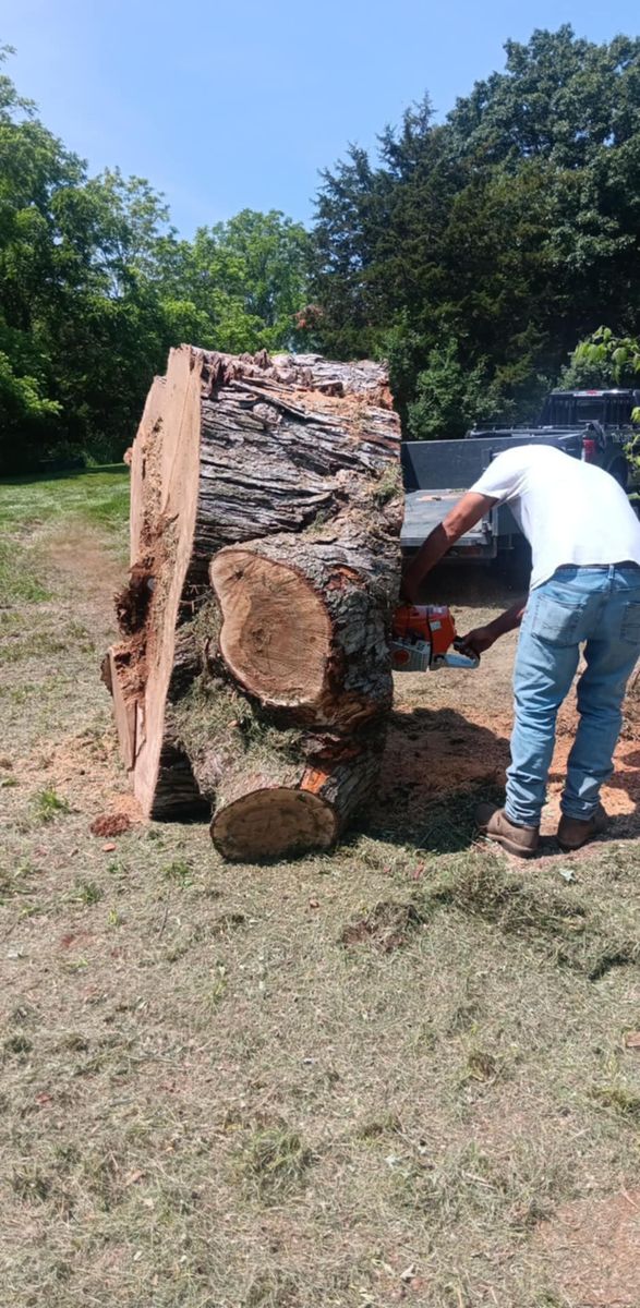 Tree Removal for Lawn Ranger Yard And Tree Service LLC in Ottumwa, IA