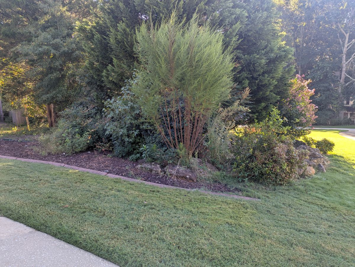 Shrub Trimming for Fantastic Lawn Care LLC in Fayetteville, GA
