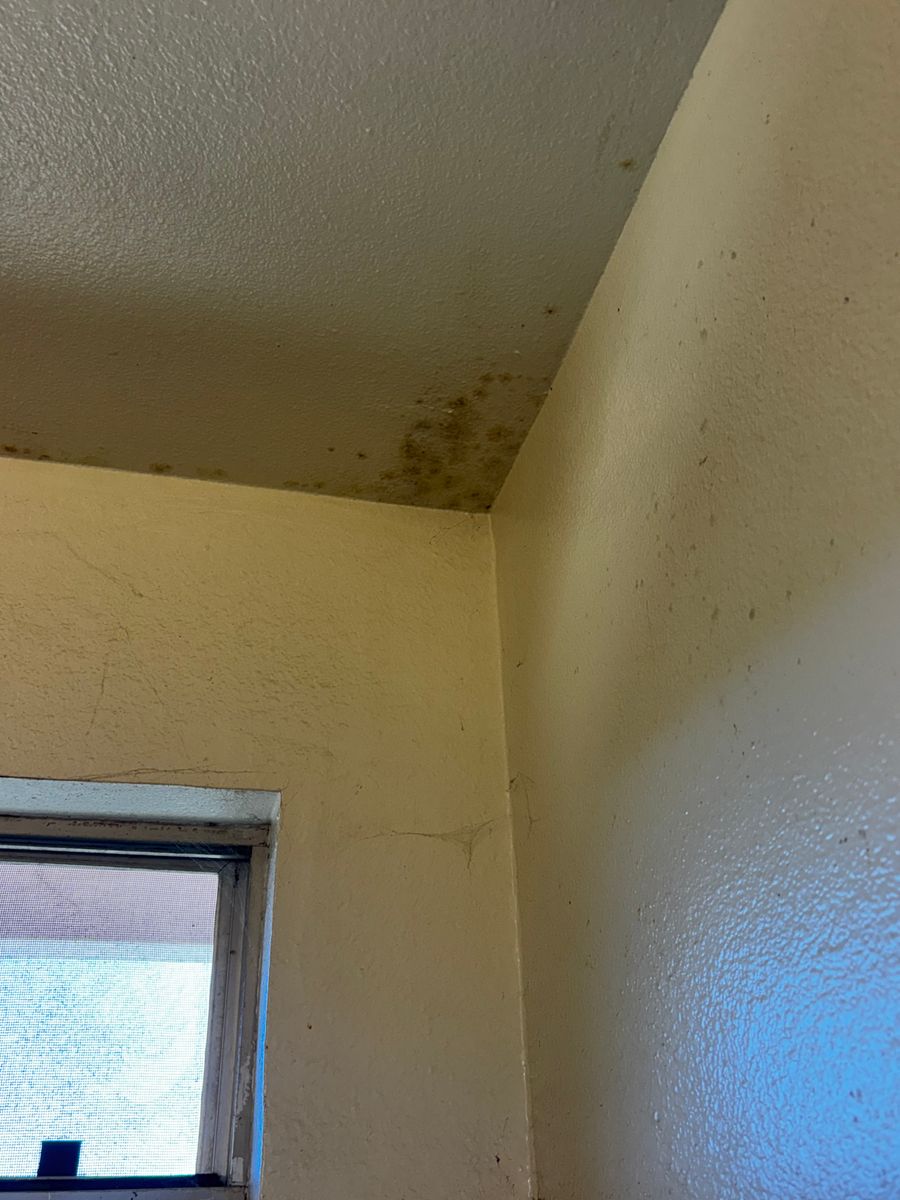 Home Inspections for Lira Home Inspections in Concord, CA