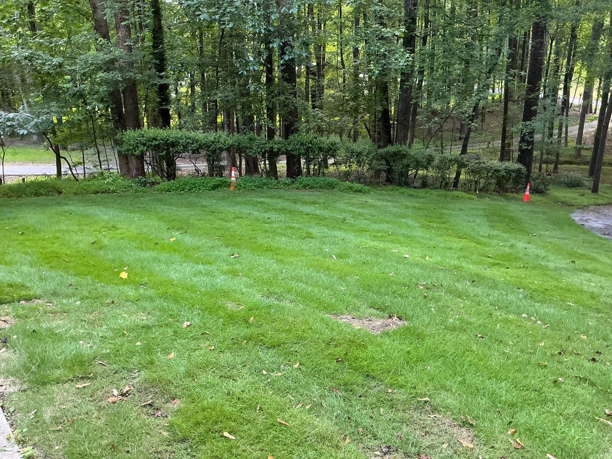 🌱 NB Sod Installation for New Beginning Landscape & Remodel LLC in Atlanta, GA
