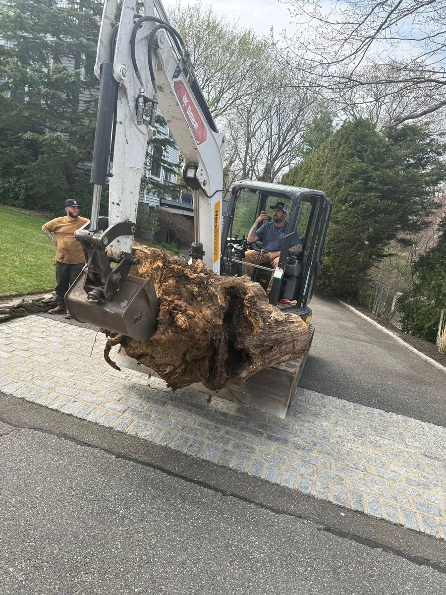 Stump Removal for High Idle Excavation in South Farmingdale, NY