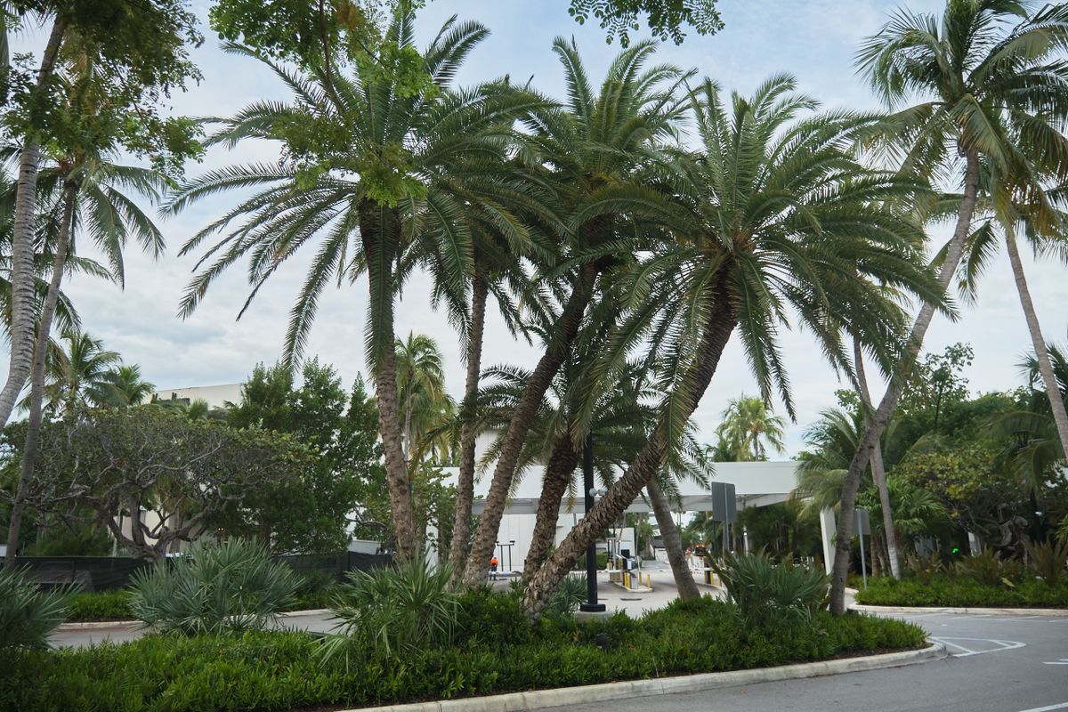 Maintenance for Arazoza Brothers Corporation in Miami, FL