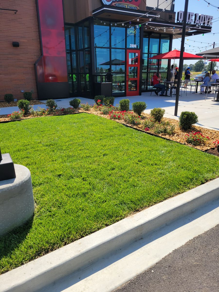 Landscape Installation for Contemporary Landscape in St. Louis, MO