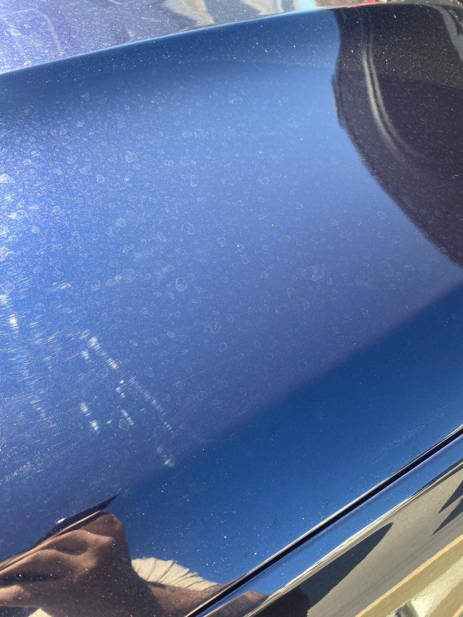 Paint Correction for Limelight Mobile Detailing LLC in Raleigh, NC