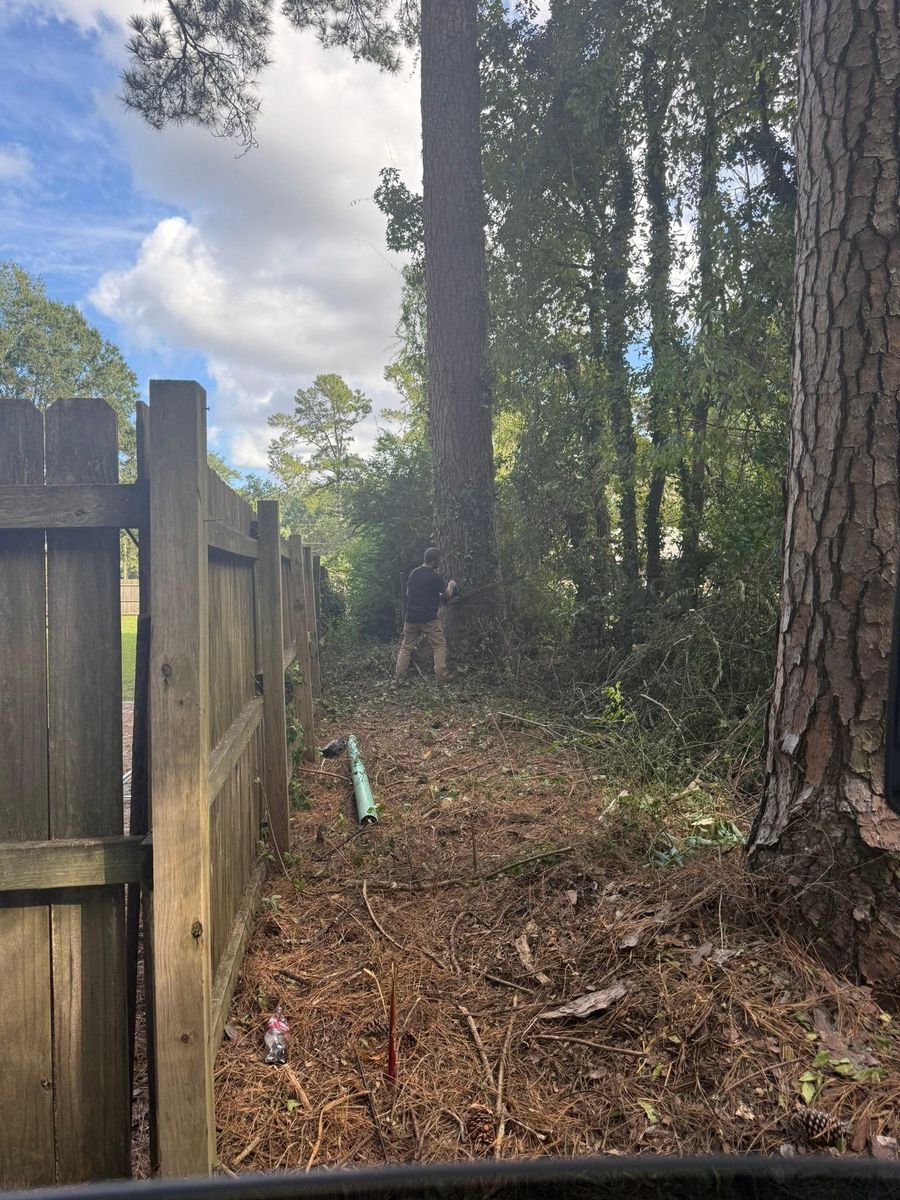 Tree Removal for Hawkins Tree Service & Land Management in Richmond Hill, GA
