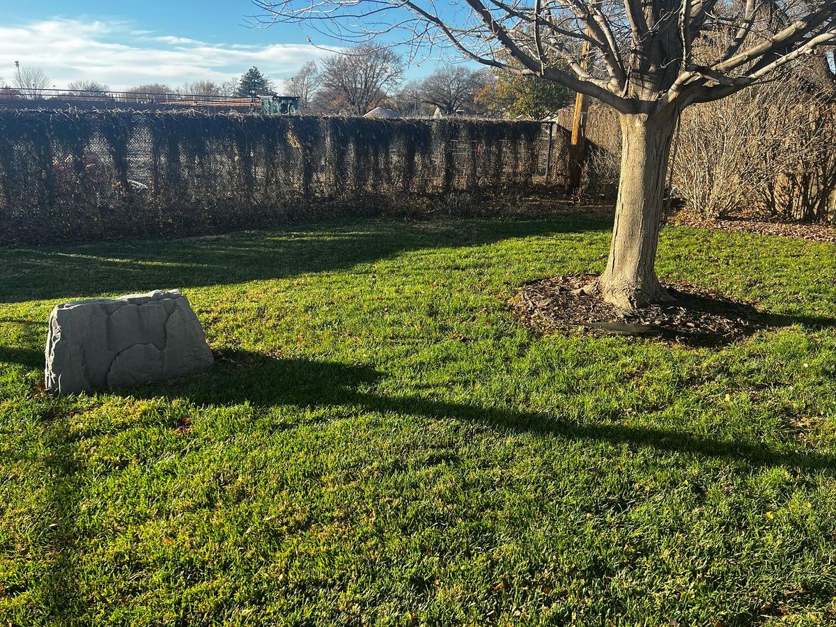 Fall Clean Up for Macy Mowing LLC in Wichita, KS