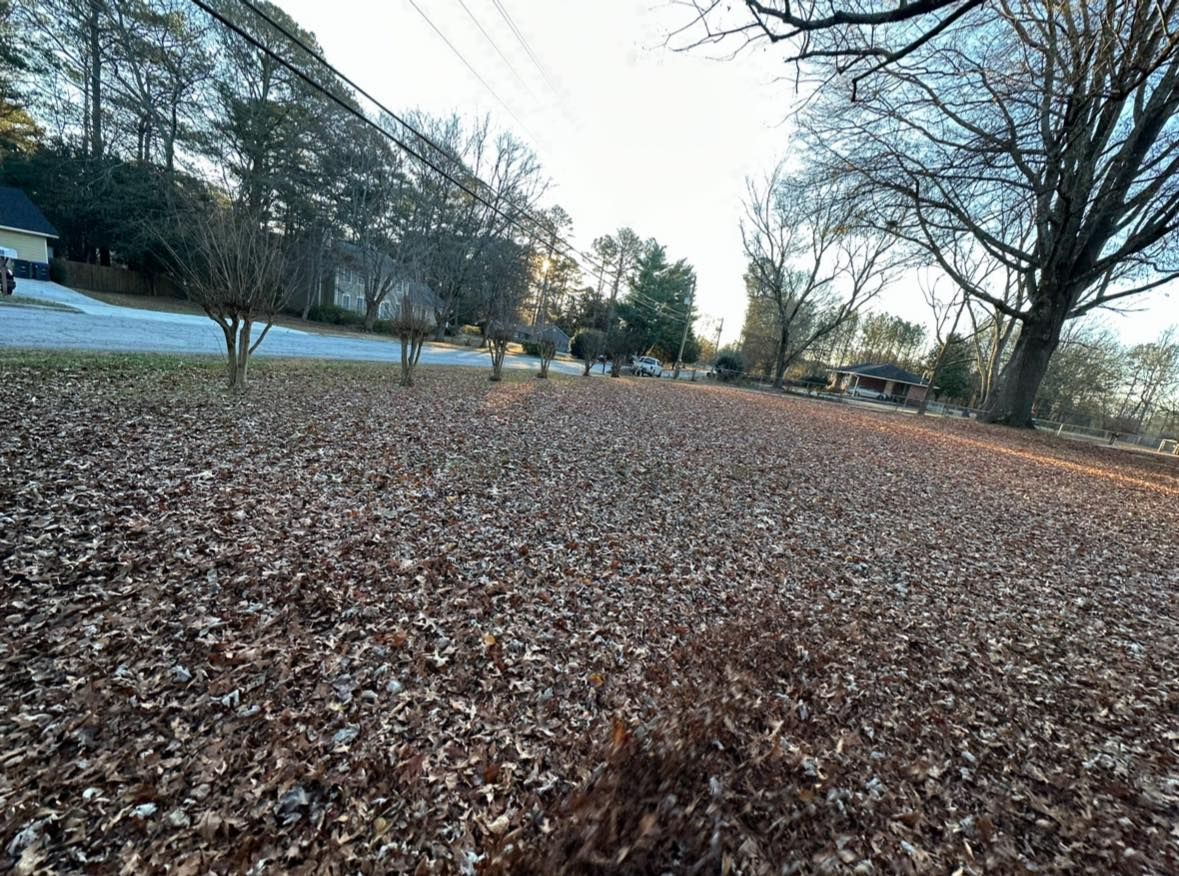 Fall Clean Up for Brumblebee's Landscaping & Cleaning Services in Loganville, GA