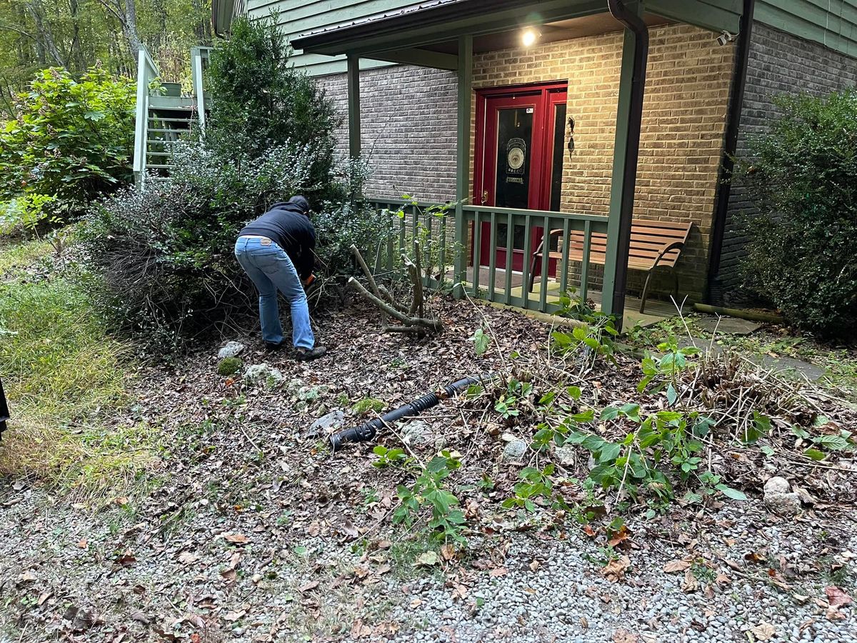 Shrub Trimming for Richards Lawn and More in Richmond,  KY