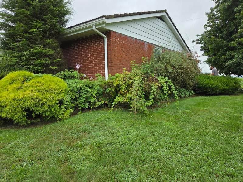 Tree Services for Jonathan A. Henne Property Services. in Hamburg, PA