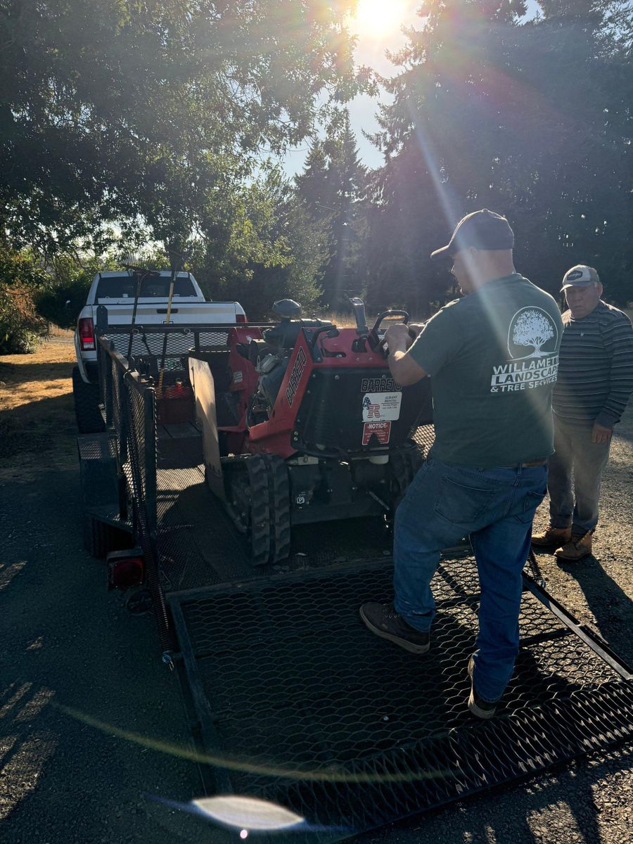 Tree Removals for Willamette Landscaping and Tree Services in Albany, OR