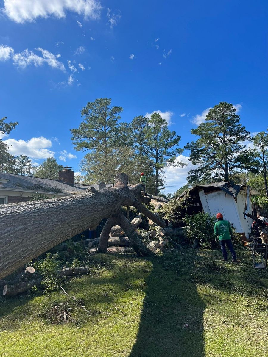Demolition for J.M. Midlo Construction in Waynesboro, GA
