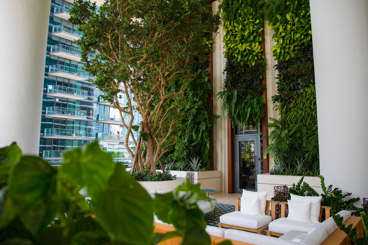 Landscaping for Arazoza Brothers Corporation in Miami, FL