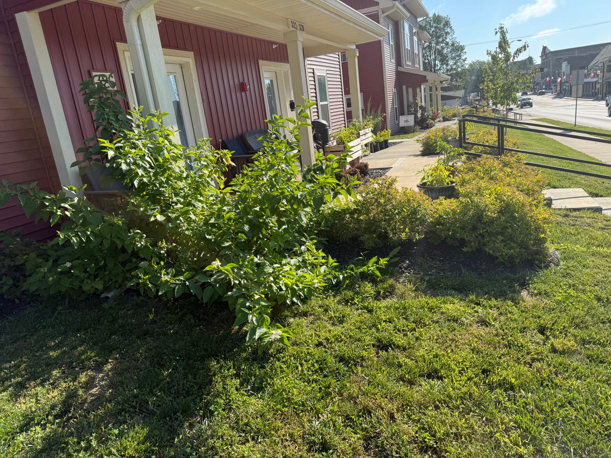 Shrub Trimming for Perfect Lawn Solutions LLC in Marshall, WI