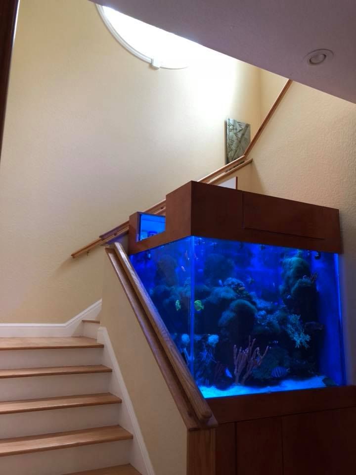 Aquarium Services for Aquariums by Sharyn in The State of Florida, FL