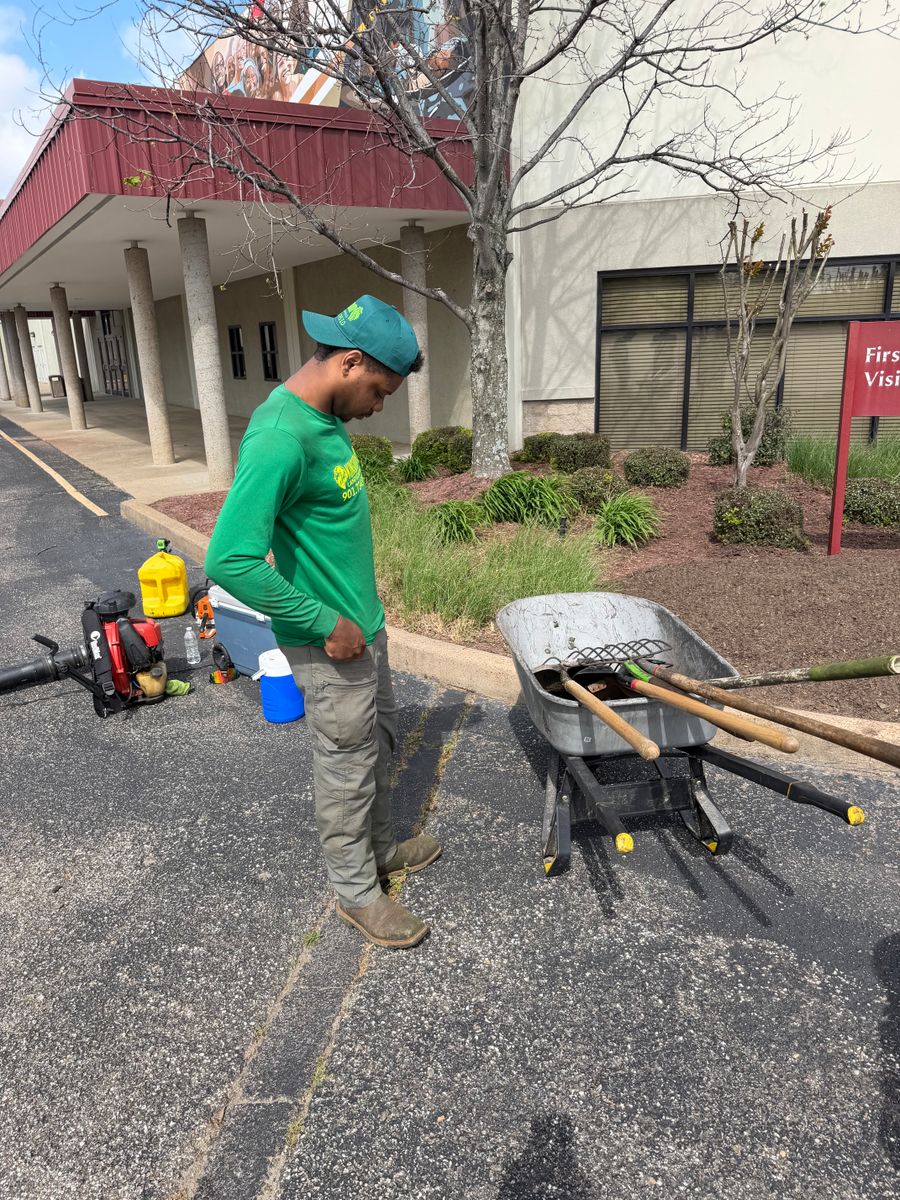 Shrub Trimming and Hedges(bushes) Service for Kingdom Landscaping in Memphis, TN