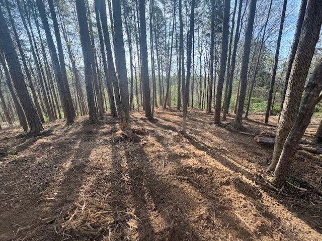 Land Clearing for Sykes Land Services in Asheboro, NC