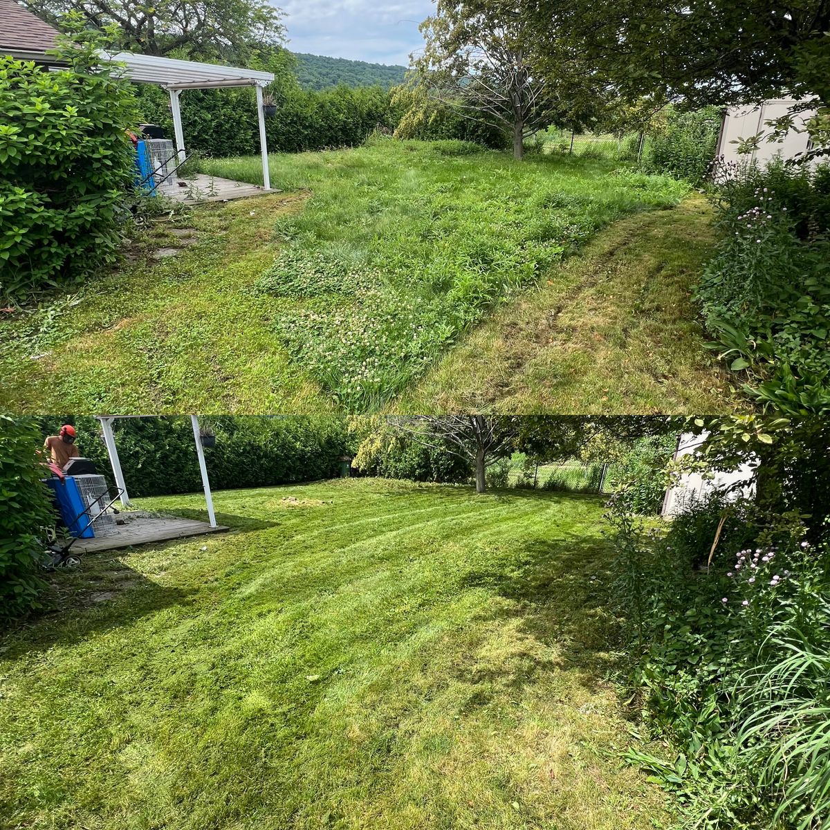 Lawn Care for CMN Exterior Maintenance in Hamilton, ON