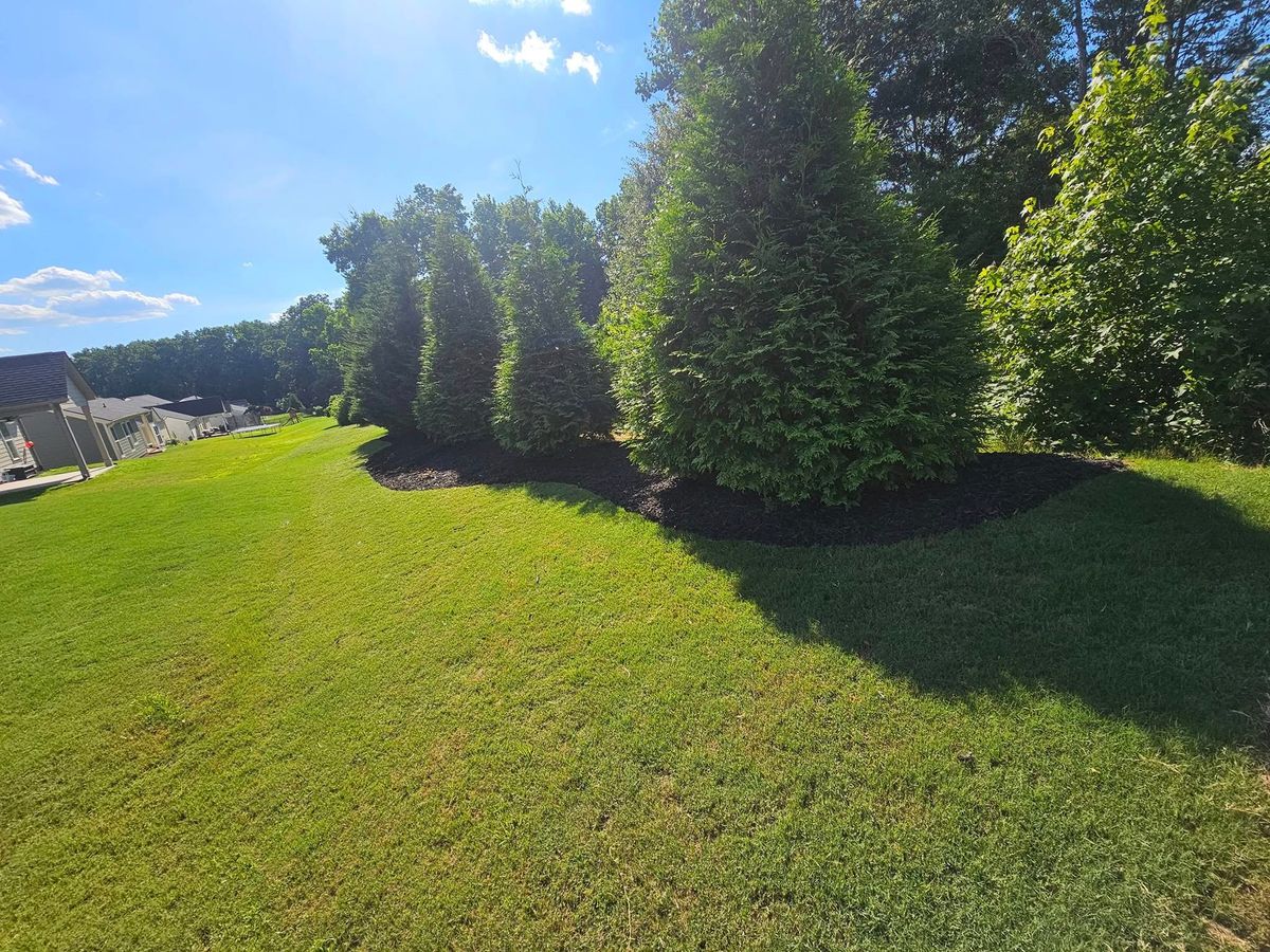 Lawn Aeration for Sunshine's Dreamscapes in Greer, SC