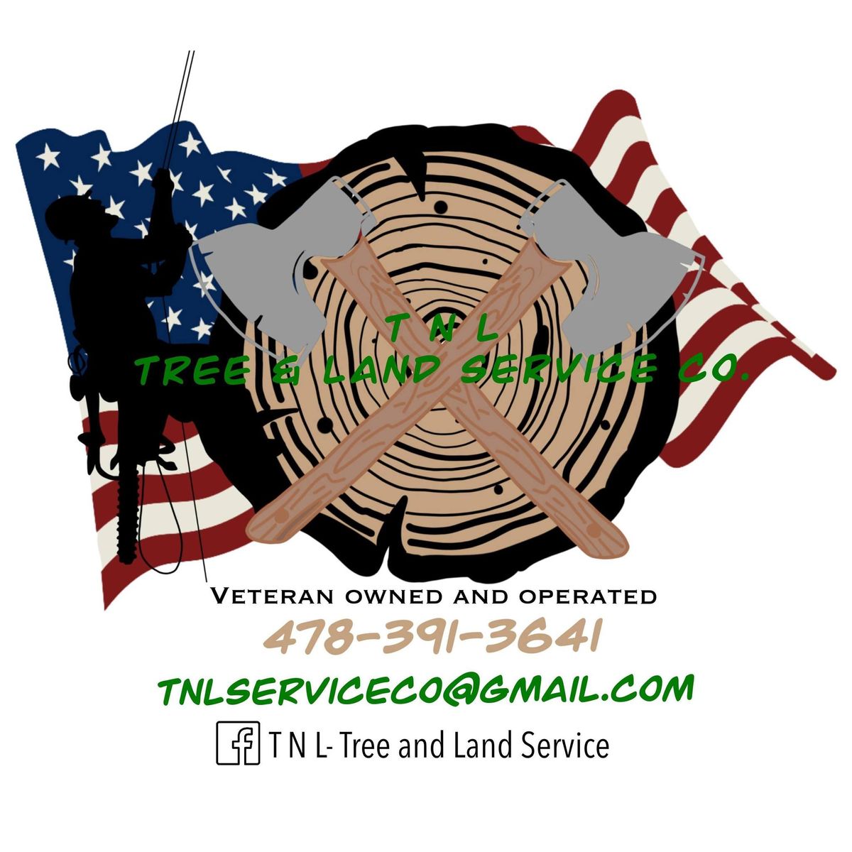 Tree Trimming for T N L - Tree and Land Service in Reynolds, GA