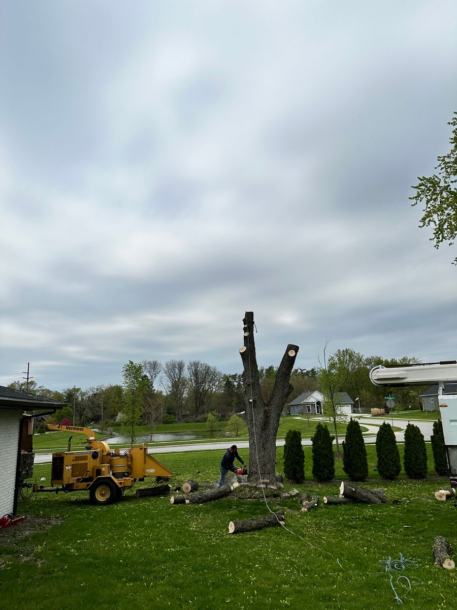Tree & Stump Grinding Removal for Torres Lawn & Landscaping in Valparaiso, IN