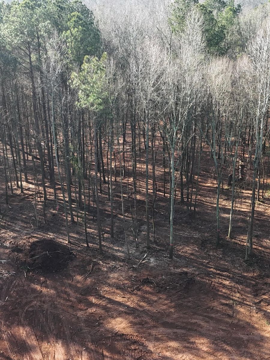 Forestry mulching for T Crane Grading LLC in Clarkesville, GA