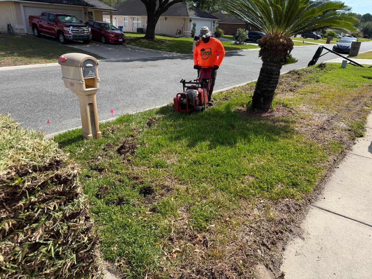Sodding for All of the Above Landscaping in Orange Park, FL