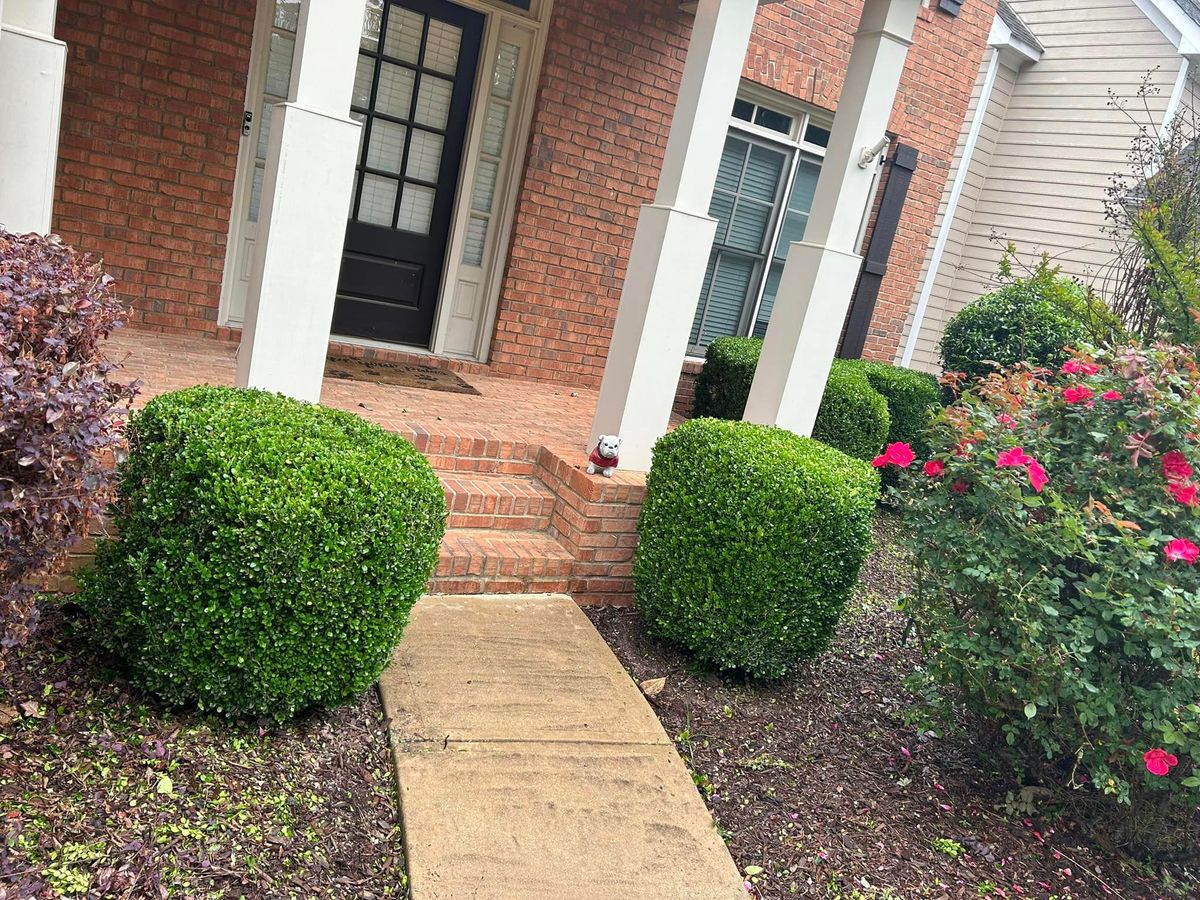 Shrub Trimming for A&A MultiScapes and Tree Service in Dallas,  GA