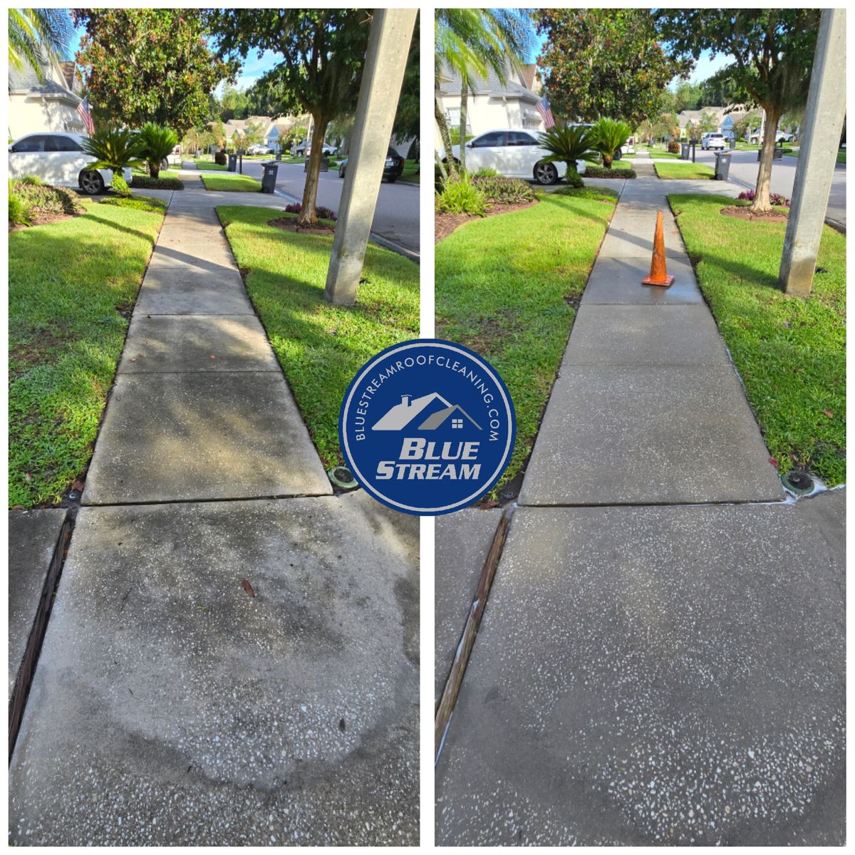 Driveway and Sidewalk Pressure Washing for Blue Stream Roof Cleaning & Pressure Washing in Tampa, FL