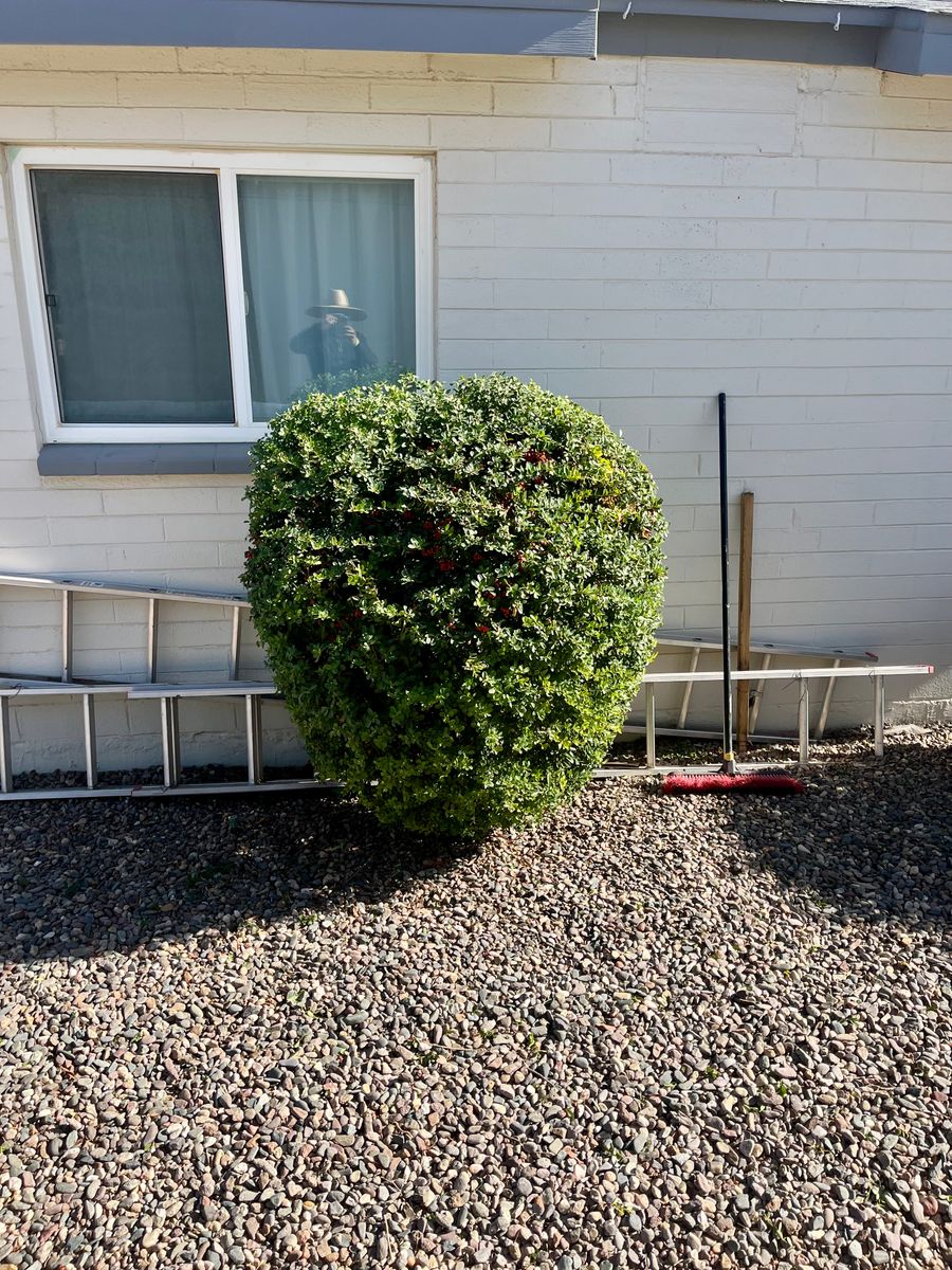 Residential Landscaping for Grand Canyon State Landscape Inc. in Surprise, AZ