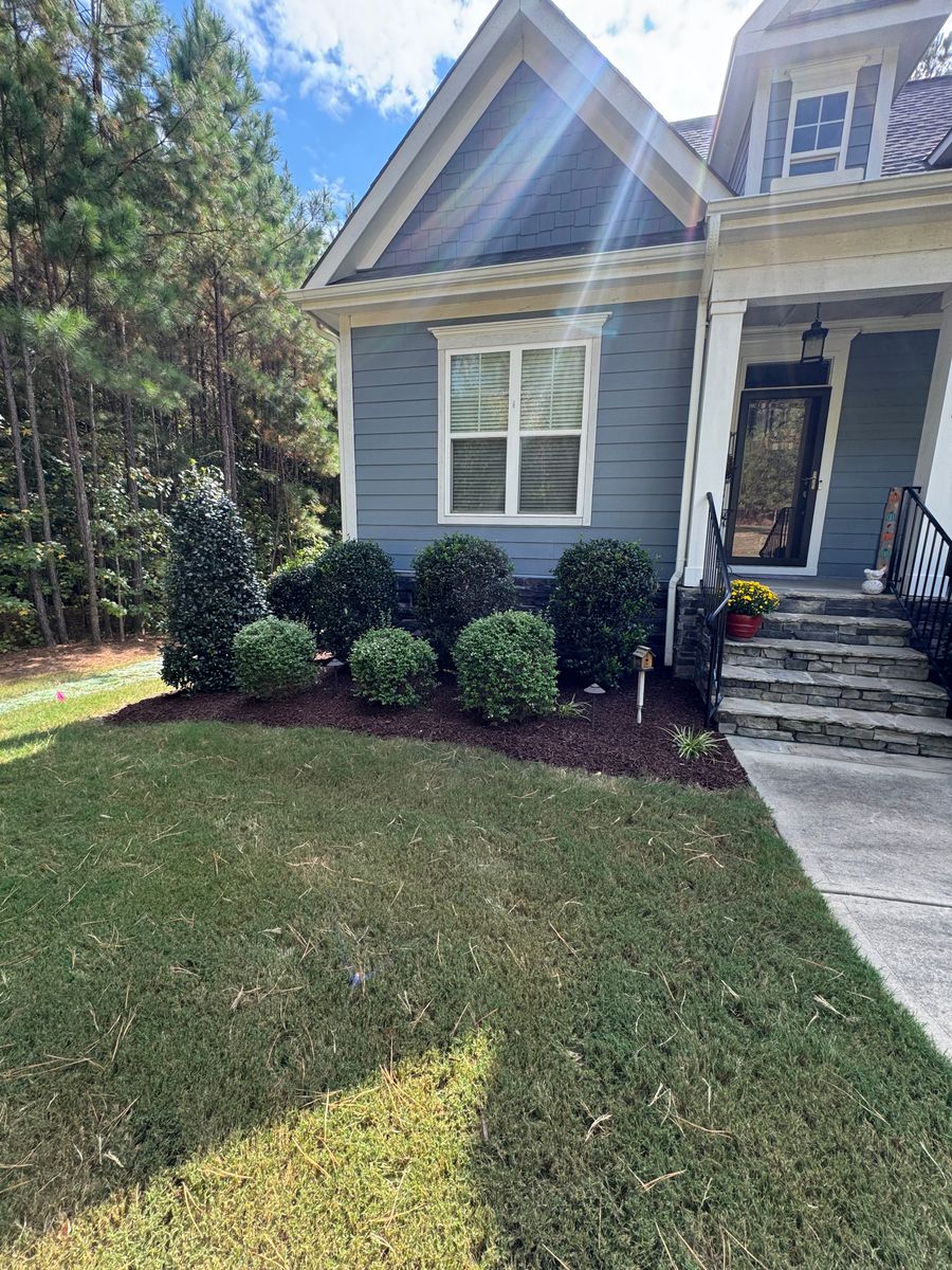 Shrub Trimming for Lovingood Landscape in Pittsboro, NC