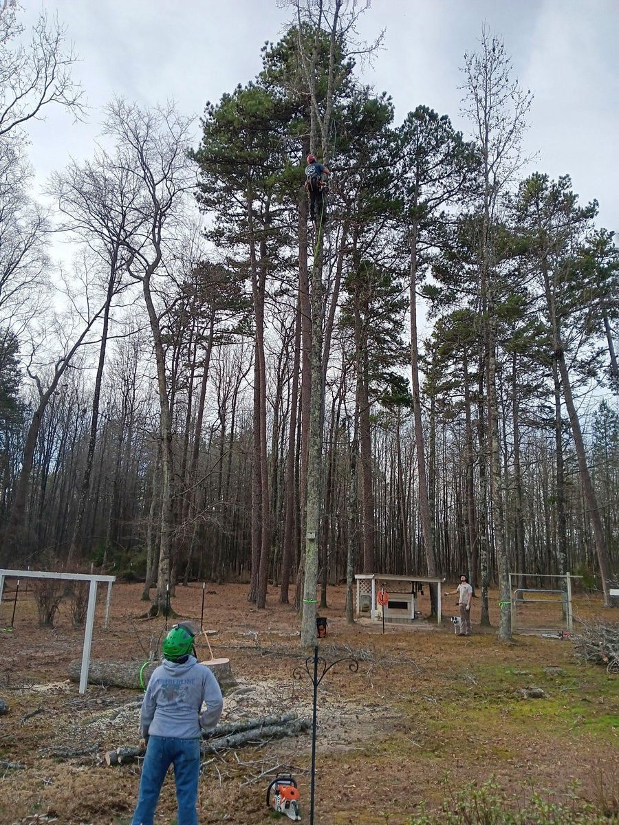 Crane Access for Diversified Tree Company in Trinity, NC