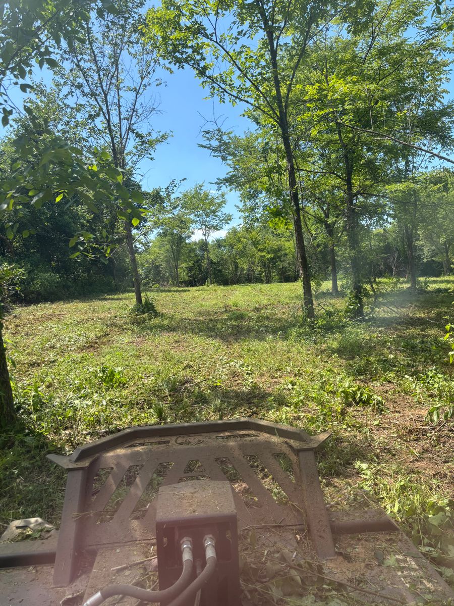 Land Clearing for Gregory Grass and Lawn in Lafayette, TN