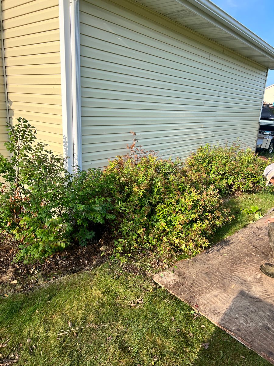 Shrub Trimming for Luke's Lawn Care and Landscape in Andover, MN