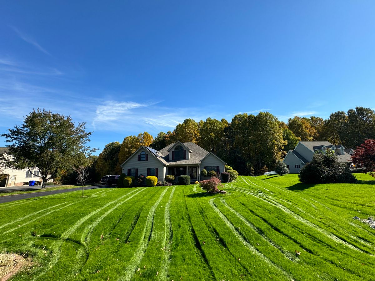 Complete Lawn Renovation for Solid Ground Outdoor Living Solutions in Seaford, DE