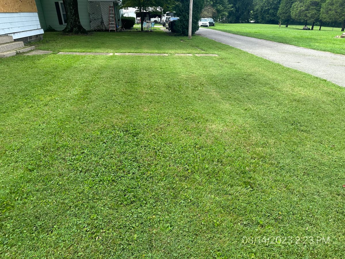 Lawn Maintenance for RFS Home Inspections in Bowling Green, KY