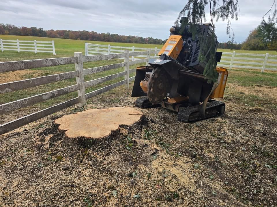 Stump Removal for W D Giampa Lawns and Landscape Inc. in Manassas, VA