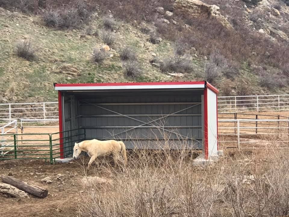 Riding Arena Construction for Dittus Construction in Loveland, CO