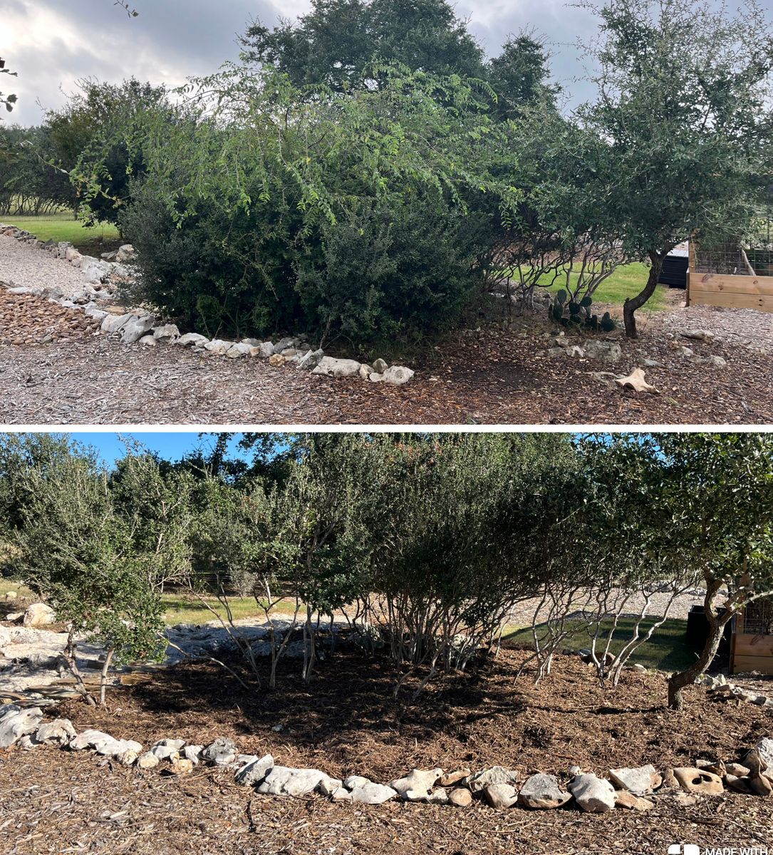 Tree Trimming & Land Clearing for Bad Axe Landscapes LLC in Blanco, TX